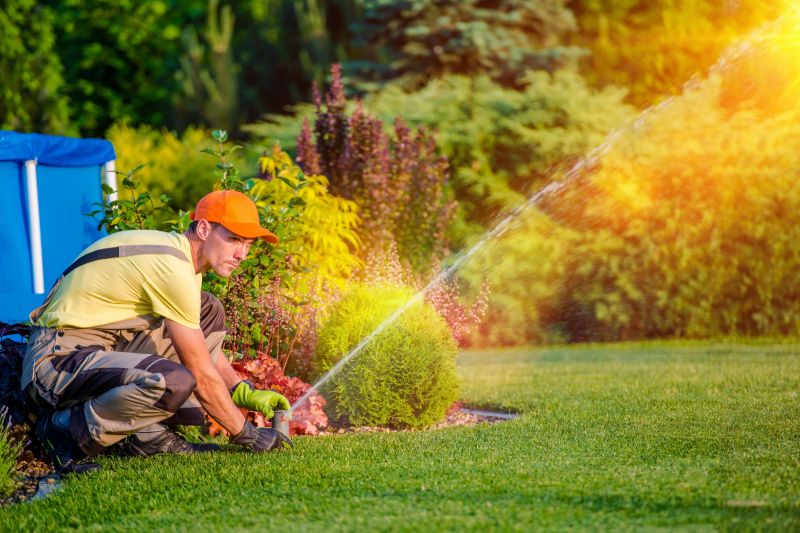 Lawn Repair Service
