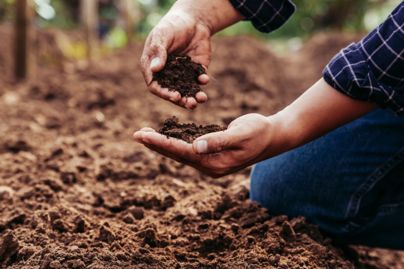 Healthy Garden Soil