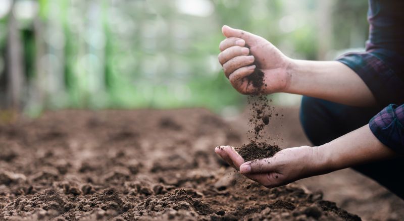Gardening with Fresh Soil